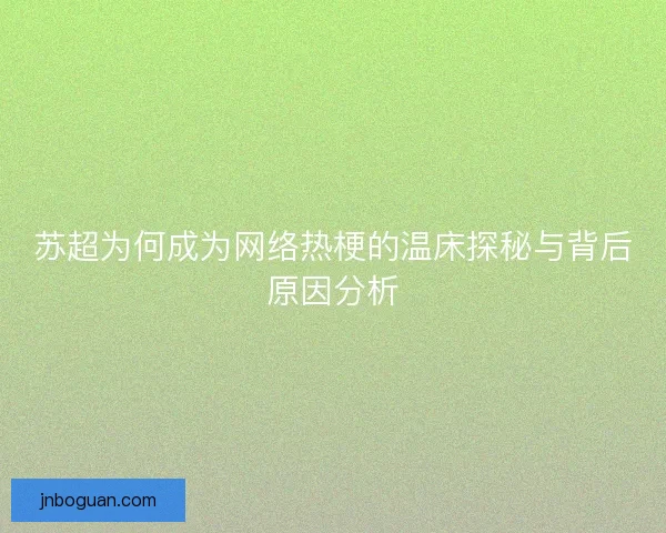 苏超为何成为网络热梗的温床探秘与背后原因分析